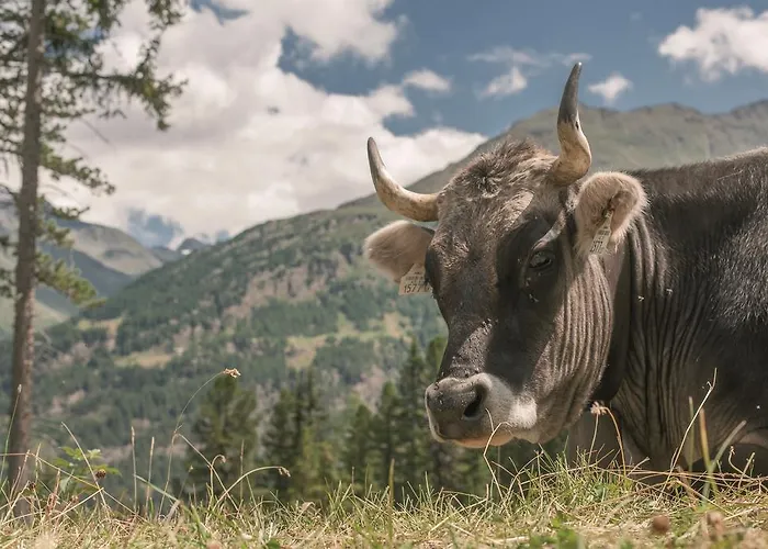 Apartman Jenewein Obergurgl
